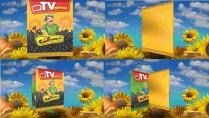 tv; tv пачка; пачка; сансаныч; сан саныч; сан; саныч; эксперт по семечкам; эксперт; семечкам