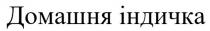 домашня індичка; домашня; індичка