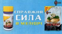 vac group, vac, group, vg, gv, v, g, справжня сила в меліорі, справжня, сила, меліорі, меліор