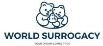 world surrogacy, world, surrogacy, your dream comes true, dream, comes, true
