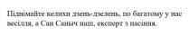 піднімайте келихи дзень-дзелень, по багатому у нас весілля, а сан саныч наш, експерт з насіння, піднімайте, келихи, дзень, дзелень, багатому, весілля, експерт, насіння, сан, саныч