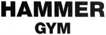 hammer gym; hammer; gym