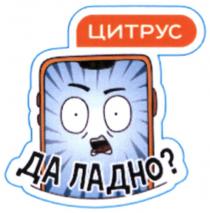 цитрус, да ладно?, ладно