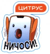 цитрус, ничоси!, ничоси