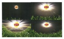 створено природою, створено, природою, lipton