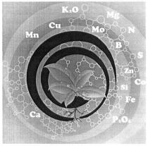 ca, mn, cu, k2o, k2, mo, mg, b, n, s, zn, ce, si, fe, p2o5, са, к2о, в, се