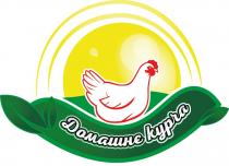 домашнє курча, домашнє, курча