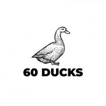60 ducks; 60; ducks
