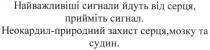 найважливіші сигнали йдуть від серця, прийміть сигнал; найважливіші; сигнали; йдуть; серця; прийміть; сигнал; неокардил-природний захист серця, мозку та судин; неокардил; природний; захист; серця; мозку; судин