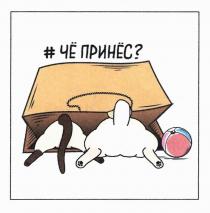 #, # чё принёс?, чё, принёс, че принес?, че, принес