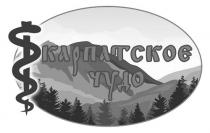 карпатскоє чудо, карпатскоє, чудо