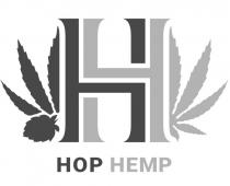 hh, нн