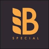в; b; special