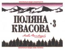 поляна квасова 3, поляна, квасова, 3, мінеральні води закарпаття, мінеральні, води, закарпаття, аква поляна, аква, поляна, мінеральні води аква поляна