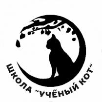 школа учёный кот; школа ученый кот; школа; учёный; ученый; кот