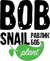 равлик боб, равлик, боб, вов, bob snail, bob, snail, plant