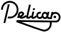 pelican