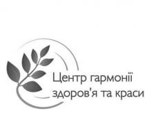 центр гармонії здоров`я та краси, центр, краси, гармонії, здоровя, здоров`я