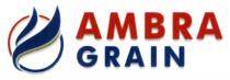 ambra grain, ambra, grain