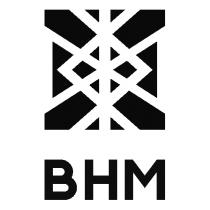 внм, bhm