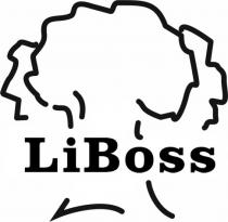 boss, li, li boss, liboss
