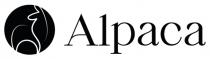 alpaca