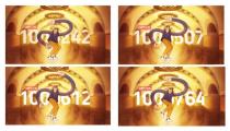100764, 100612, 100507, 10242, chipsters