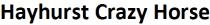 crazy, hayhurst, hayhurst crazy horse, horse