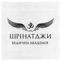 академія, ведична, шрінатджи, шрінатджи ведична академія