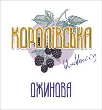 королівська ожинова, ожинова, blackberry, королівська, королівська blackberry ожинова