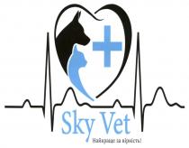 +, vet, sky, sky vet, вірність, найкраще, найкраще за вірність!