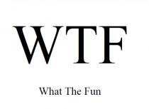 fun, what, wtf, wtf what the fun