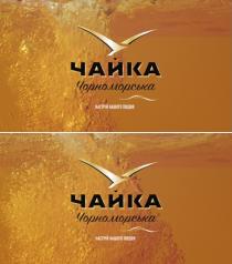 півдня, нашого, настрій, настрій нашого півдня, чорноморська, чайка, чайка чорноморська