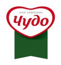 чудо, улюблене, моє, моє улюблене чудо