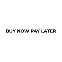 later, pay, now, buy, buy now pay later
