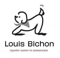 зоомагазин, салон, грумінг, грумінг - салон та зоомагазин, bichon, louis, louis bichon