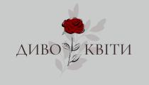 квіти, диво, диво квіти