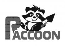 raccoon