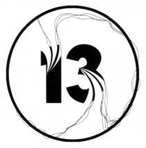 13