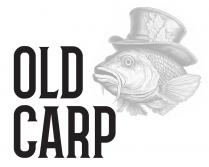 carp, old, old carp