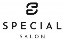 salon, special, s