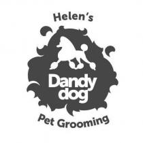 dog, dandy, dandy dog, helens, grooming, pet, helen's, helen's pet grooming