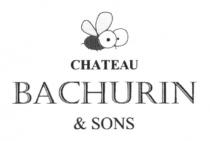 sons, bachurin, chateau, chateau bachurin & sons