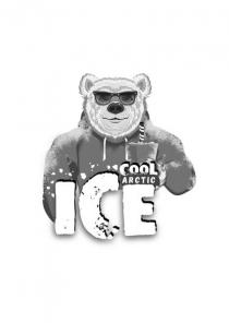 arctic, cool, ice, ice cool arctic