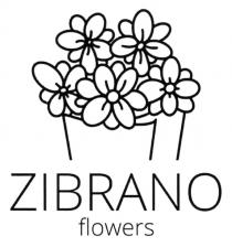 flowers, zibran, zibrano flowers