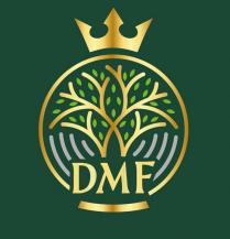 dmf