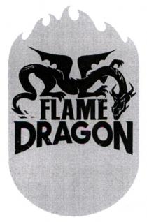 dragon, flame, flame dragon