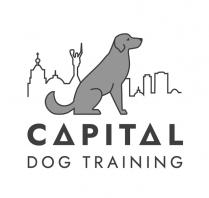 training, dog, capital, capital dog training