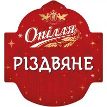 різдвяне, опілля, opillia, 1851