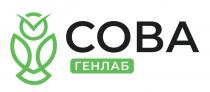 генлаб, сова, сова генлаб